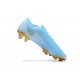 Kopacky Nike Mercurial Vapor VII 13 Elite FG Modrý Zlato Bílý Low Pánské 